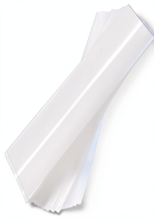Skateboard Bag MEYAGO Hard Plastic Protective Case-2